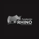 rhino